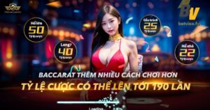 dg casino